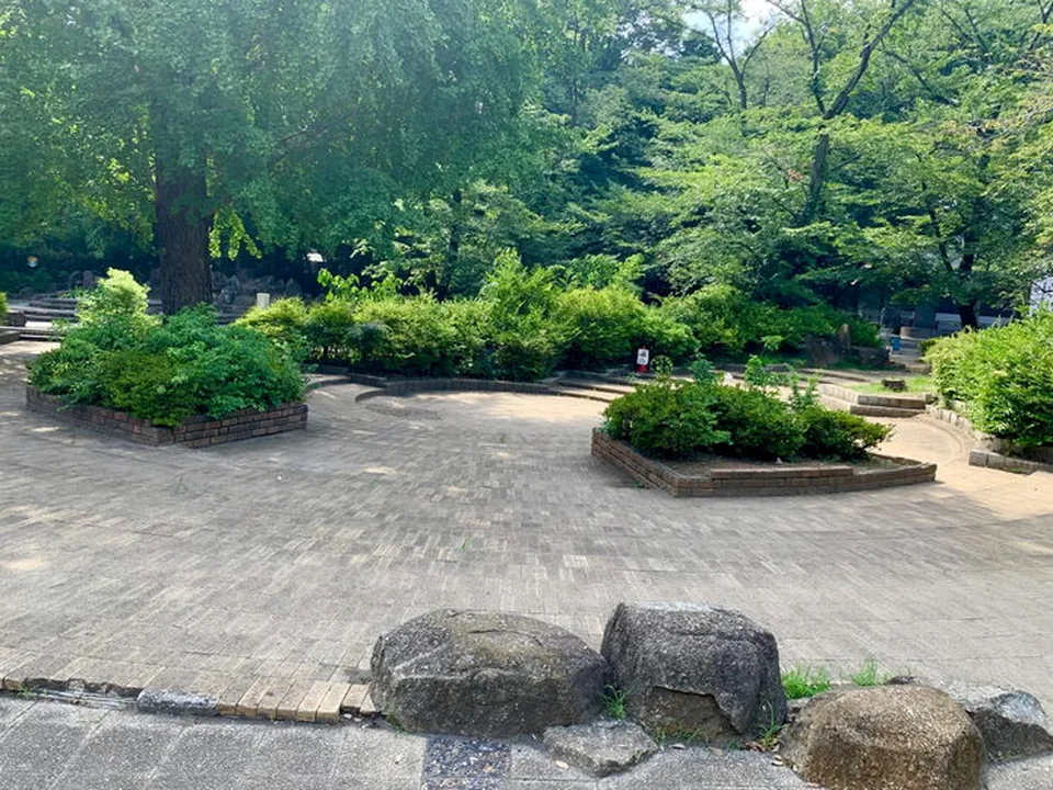 調公園の木々と木洩れ日の広場