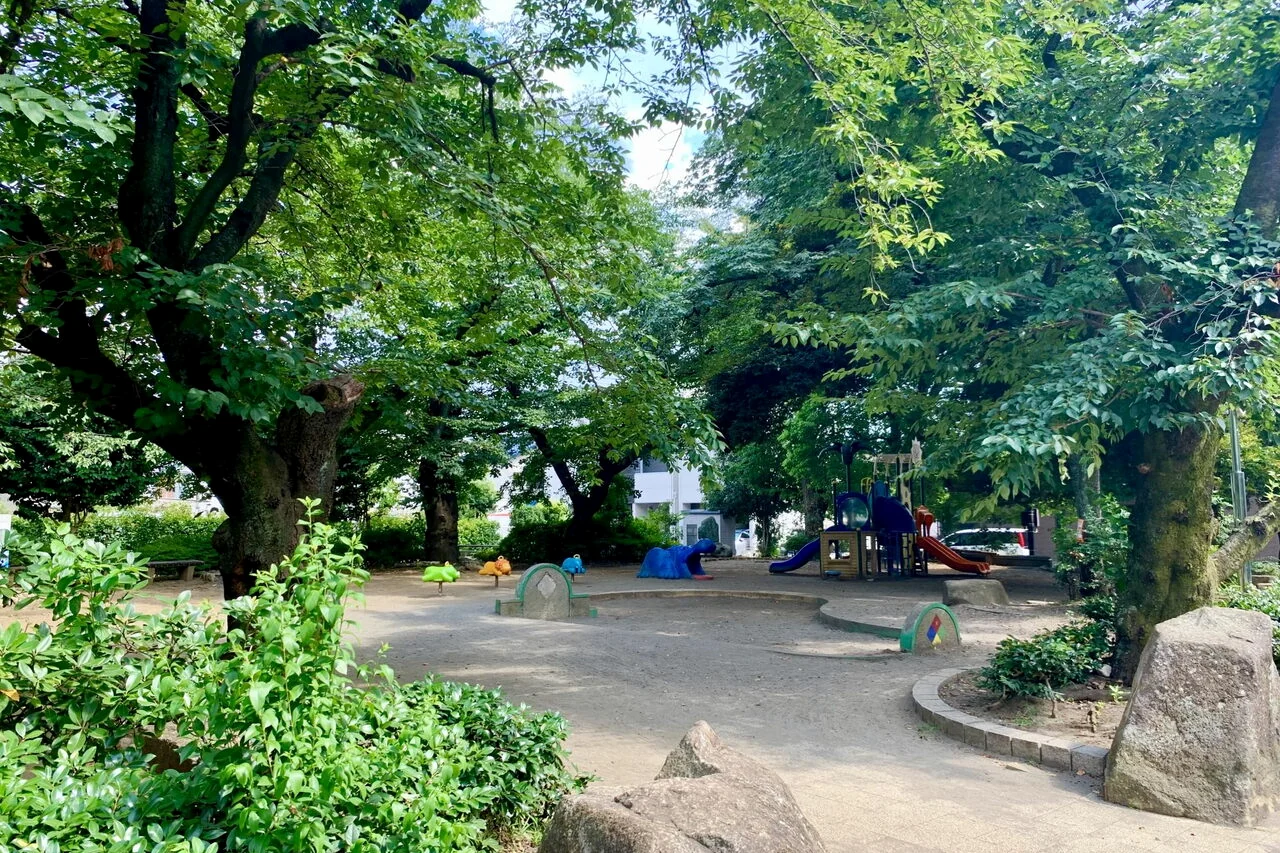 調公園の遊具と木陰